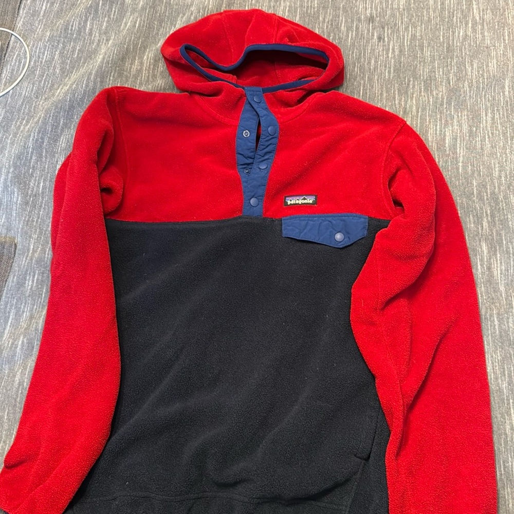 Patagonia Synchilla Hoodie